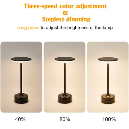 Touch Sensor LED Table Lamp